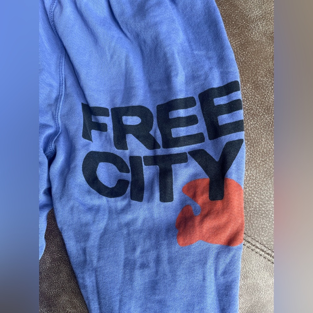 Free city purple sweatpants (NEVER WORN)